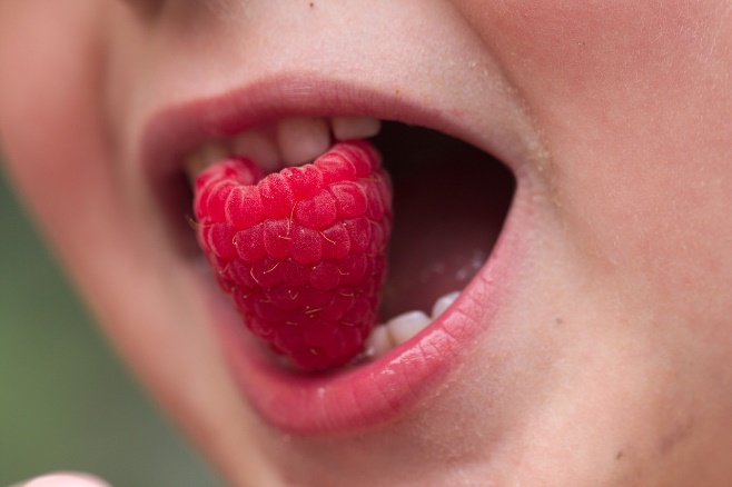 Zu sehen ist eine Nahaufnahme, von einem Kindermund mit einer pink-roten Himbeere zwischen den Zähnen.